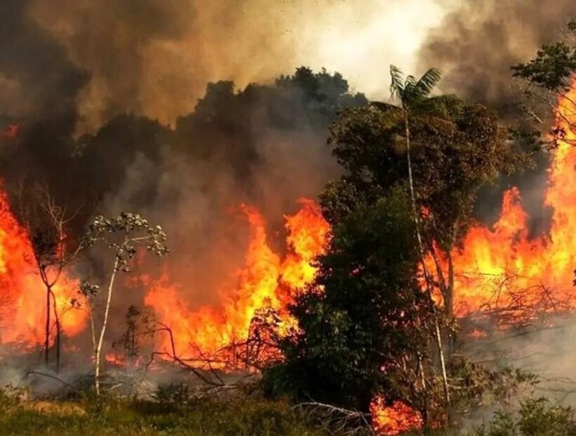 ضرورت پایش مستمر و برخورد قضایی با عاملان آتش‌سوزی